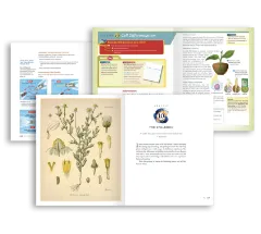 Traditional Publishing